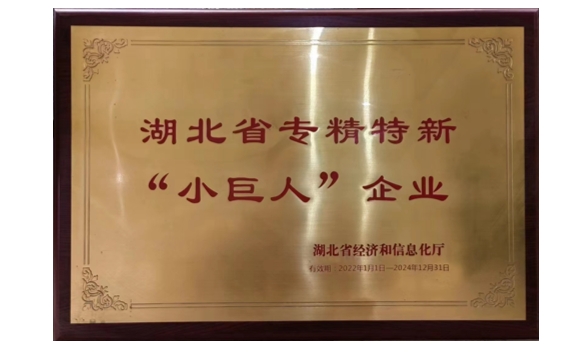 湖北省專精特新“小巨人”企業(yè)
